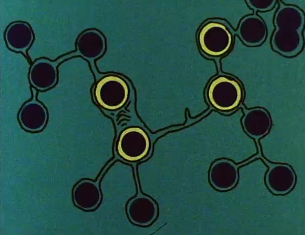 Harmony, 2004 (Jim Trainor) Ch. 4